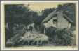 1952 Postcard Lynton Devon Thatched Cottage Sheep