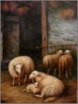 1 Lamb 4 Ewes D