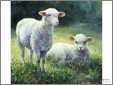 2 Crosstich Lambs