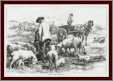 2 Men Feeding Sheep at Lambing Time