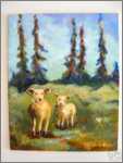 2 Saltspring Sheep