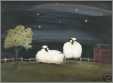 2 Sheep at Night