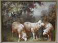 3 Ewe Lambs By the Wood