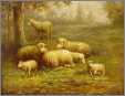 3 Ewes 1 Ewe Lamb 2 Lambs