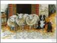 3 Ewes 1 Lamb 1 BC