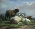 3 Ewes 2 Lambs