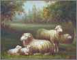 3 Ewes 2 Lambs on Pasture