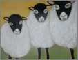 3 Sheep Drawing