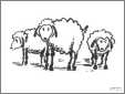 3 Sheepish Ewes