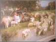 4 Children with Ewes and Lambs By Water