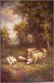 4 Ewes 4 Lambs