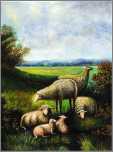 4 Ewesand 2 Lambs