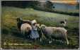 4 Sheep and a Little Girl