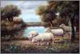 4 Sheep By Water