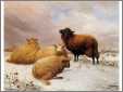 4 Sheep in Snow1