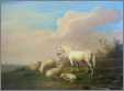 4 Sheep with a Horse