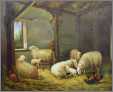 5 Ewes 2 Lambs B
