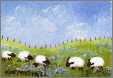 5 Sheep Eat Bluebonnets