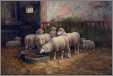 7 Ewes in Barn 1