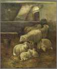 8 Sheep in Barn
