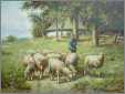 9 Ewes with Shepherd
