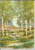 9 Sheep Feeding in Birch Forest