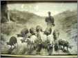 Afantique Sepia Lithograph Sheepandsheepherder 1