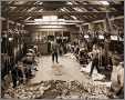 Australia Photograph Shearing Sheep Western Nsw