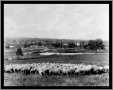 Australia Sheep Station Photo 1902