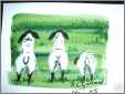 Back of 3 Grazing Sheep