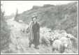 Beautiful Shepherd with Pipe and Sheep