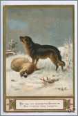 Border Collie Dog Saves Sheep Victorian Greetings Card