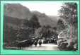 Borrowdale Cumberland Borrowdale Valley Sheep