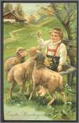 Boy with 3 Ewe Lambs