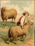 Boy with Sheep Litho