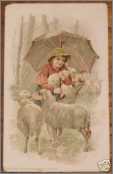 Boy with Umbrella and Sheep