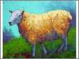 Bright Sheep