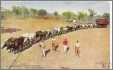 Carting of Wool at an Australian Sheep Station