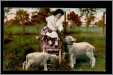 Child on Carriage Feeds 3 Lambs