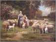 Children Ride on Sheep