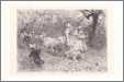 Children Taking Sheep to Pasture