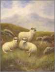 D Varley Oil Moorland Sheep