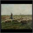 Dog Sheep Shepherdess Kntting Socks