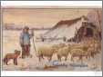 Dutch Shepherd with Sheep in Winter