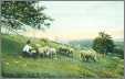 Edwardian PC Shepherd and Sheep Green Mountains USA