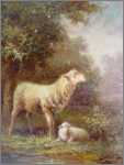 Ewe and Lamb Art