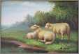 Ewe Ewe Lamb and Lamb