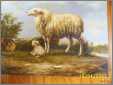 Ewe with Lamb1