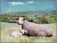 Ewe with Lamb in Nm