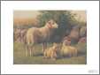 Ewe with Lambs